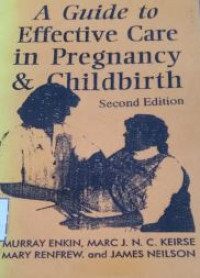 Image of A GUIDE TO EFFECTIVE CARE AND CHILABIRTH 2ND EDITION