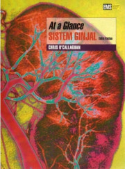 AT A GLANCE SISTEM GINJAL EDISI 2