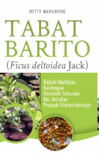Image of TABAT BARITO (FICUS DELTOIDEA JACK)
