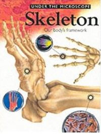Image of UNDER THE MICROSCOPE SKELETON OUR BODY'S FRAMEWORK 2